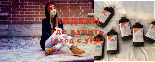 первитин Няндома