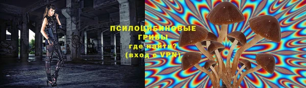 сатива Алексеевка