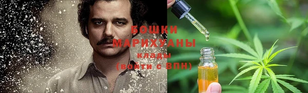 бошки Алексин